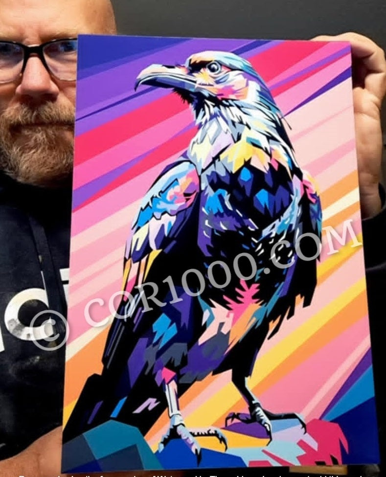 Onyx the Crow