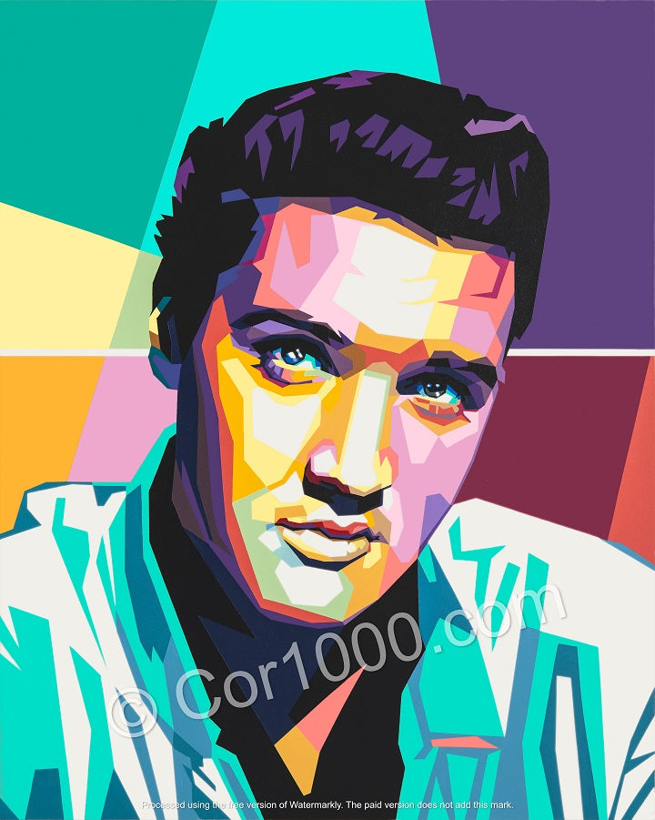 Original Painting - Elvis